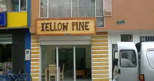 YELLOW PINE YELLOW PINE